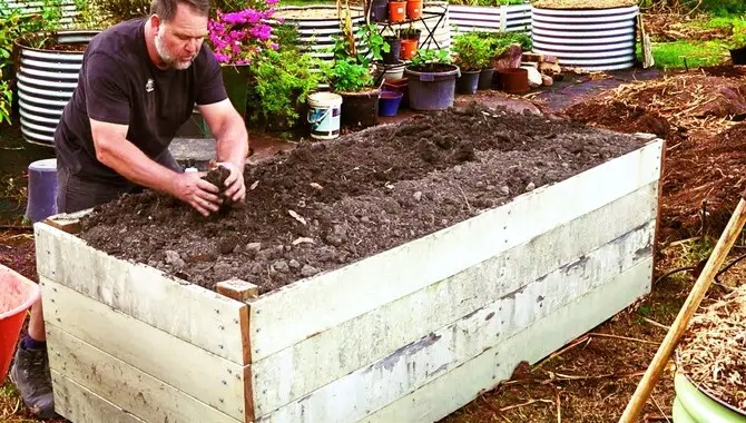 Planting In Composted Raised Beds