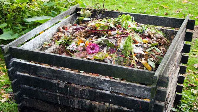 Prepare The Compost Bin Or Pile