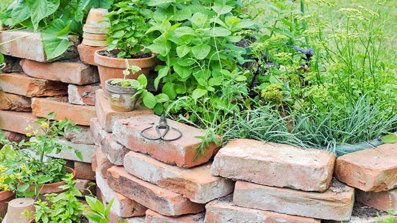 Preparing The Brick Wall For Planting