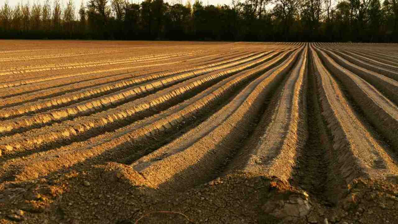 Preparing The Soil