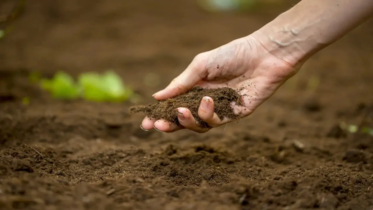 Preparing The Soil For Fertilizer Application