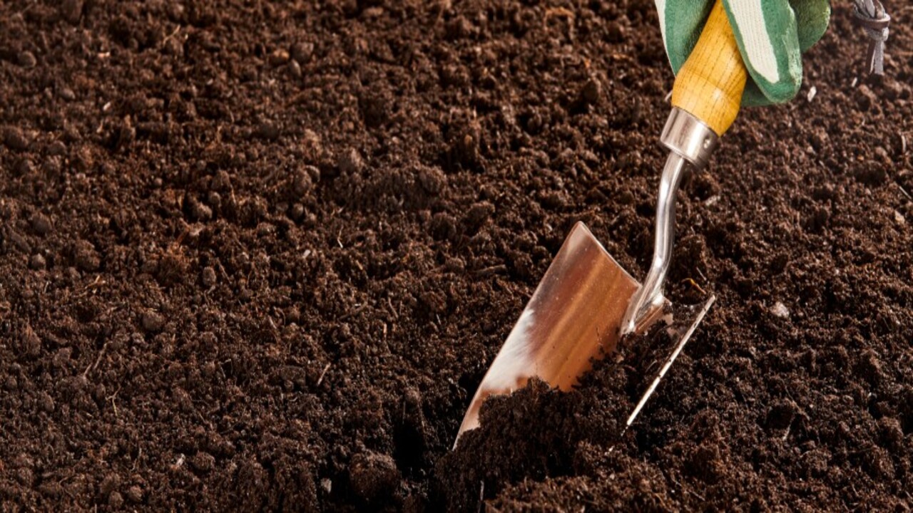Preparing The Soil For Planting