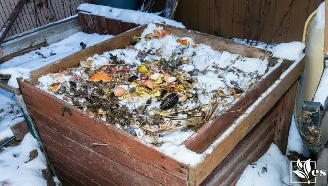 Preparing Your Compost Bin For Winter