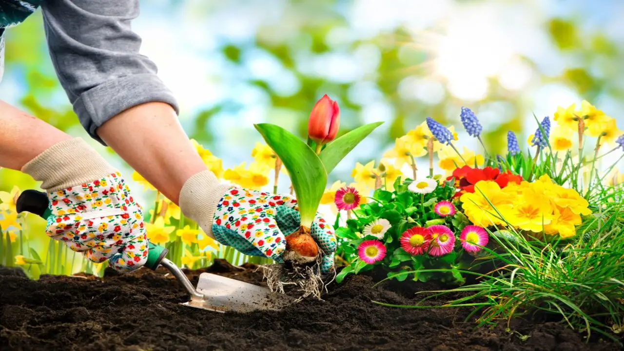Preparing Your Garden For Planting