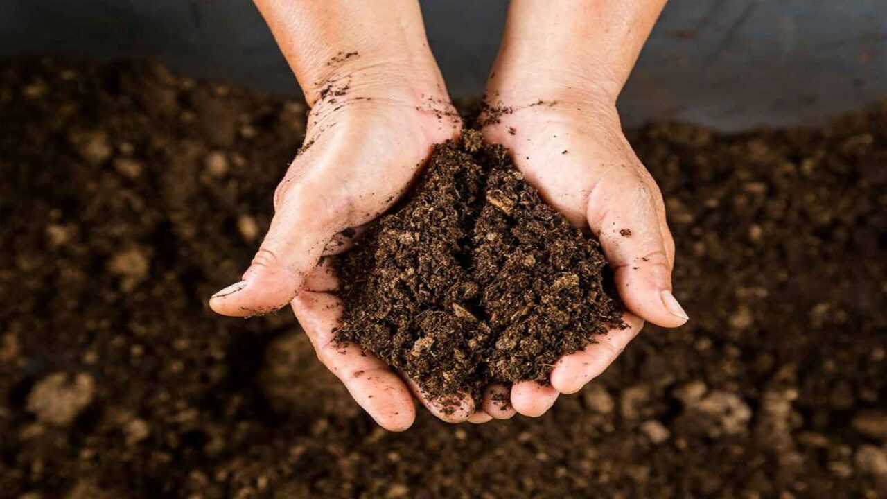 Printing And Displaying Your Compost Poster