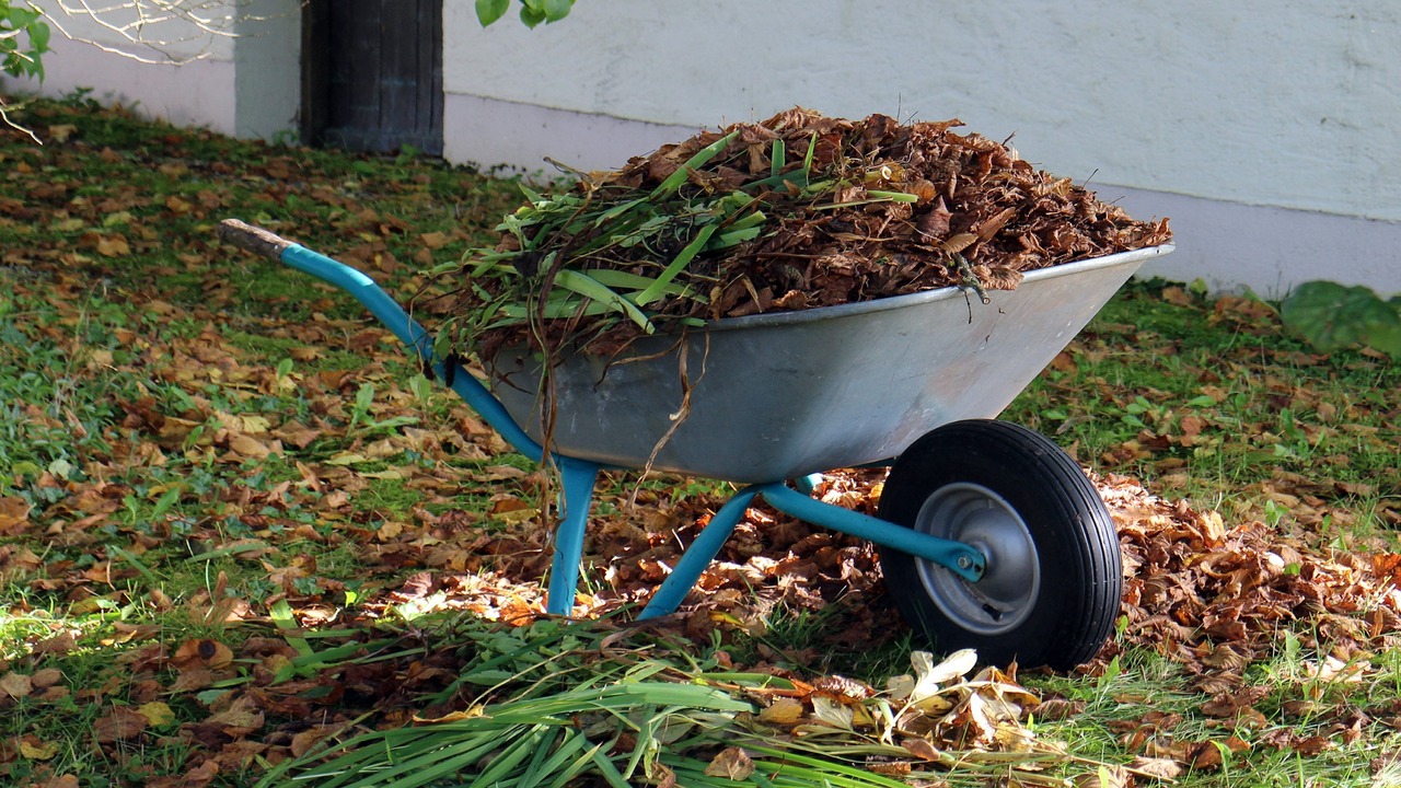 Proper Disposal Of Removed Plant Material