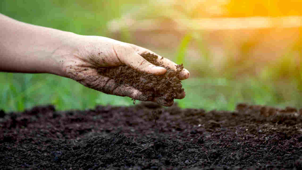 Provide Good Soil