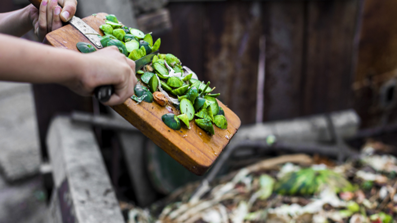 Reducing Landfill Waste With A Compost Bin