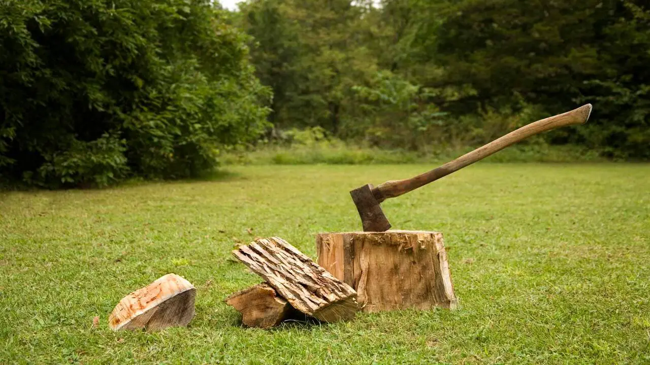 Safety Precautions When Splitting Tree Trunks