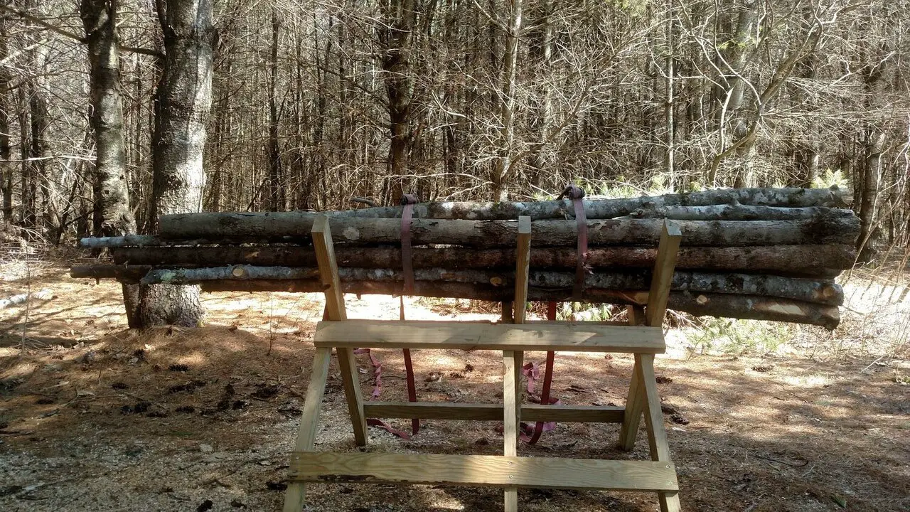 Safety Precautions When Using A Sawhorse For Cutting Logs