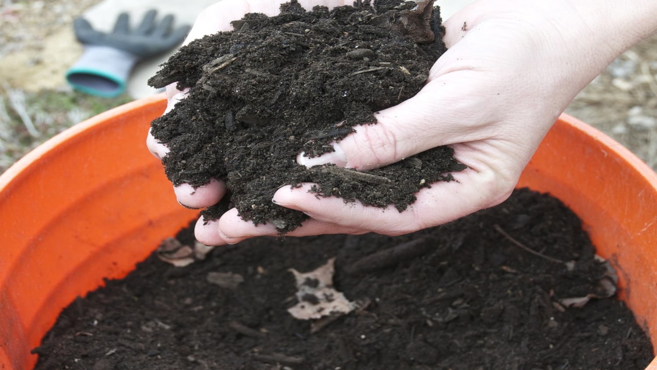 Set Up A Composting System