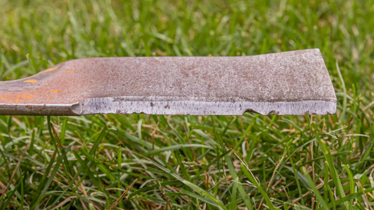 Signs That Your Brush Cutter Blade Needs Sharpening
