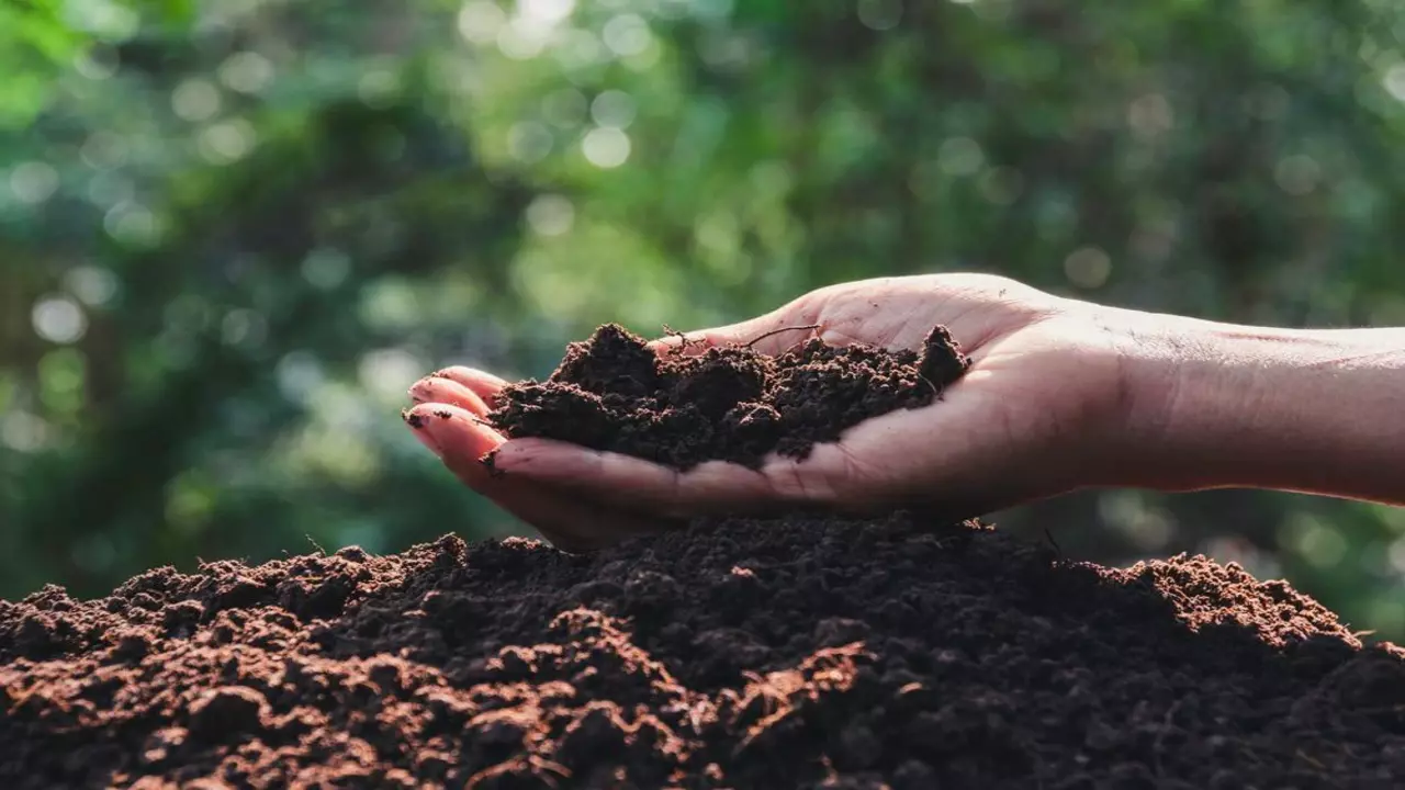 Social And Community Benefits Of Composting