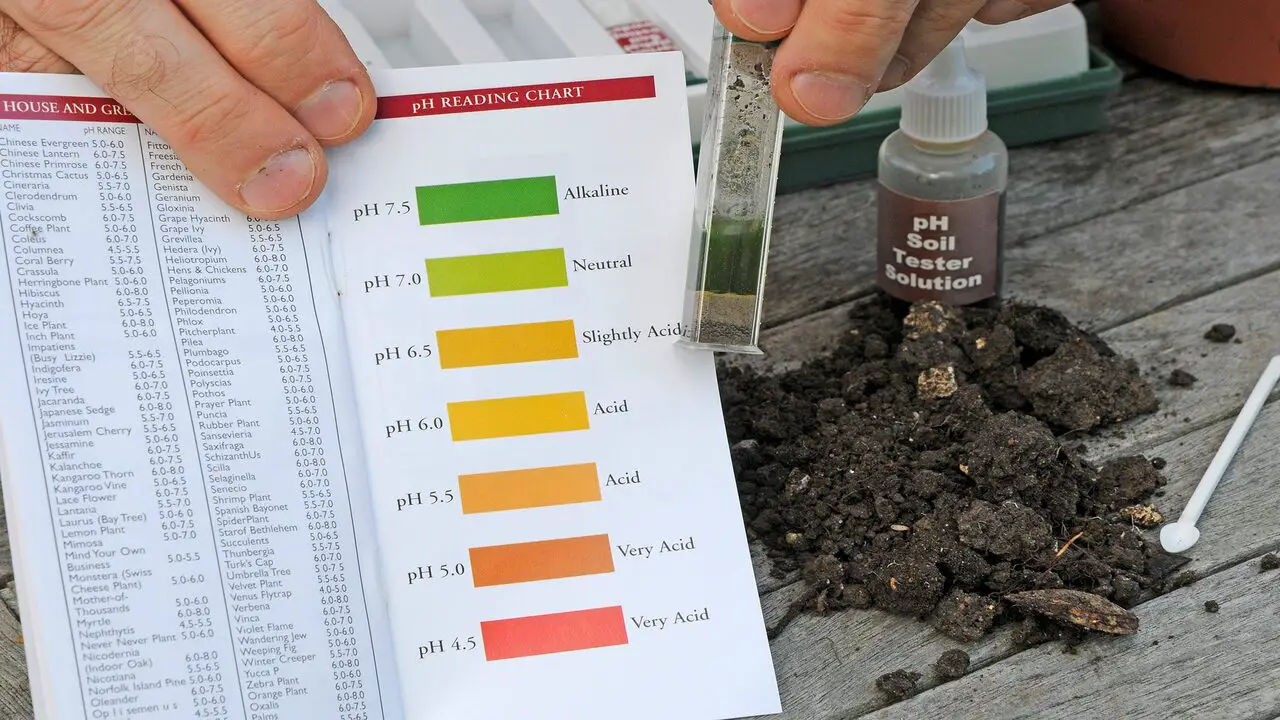 Soil Quality And Ph Levels