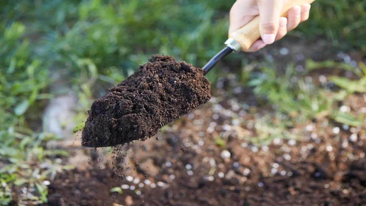 Soil That Doesn’t Drain Properly
