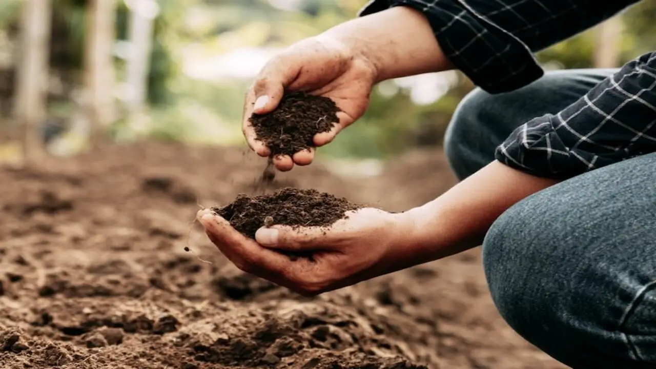 Soil Types And Composting