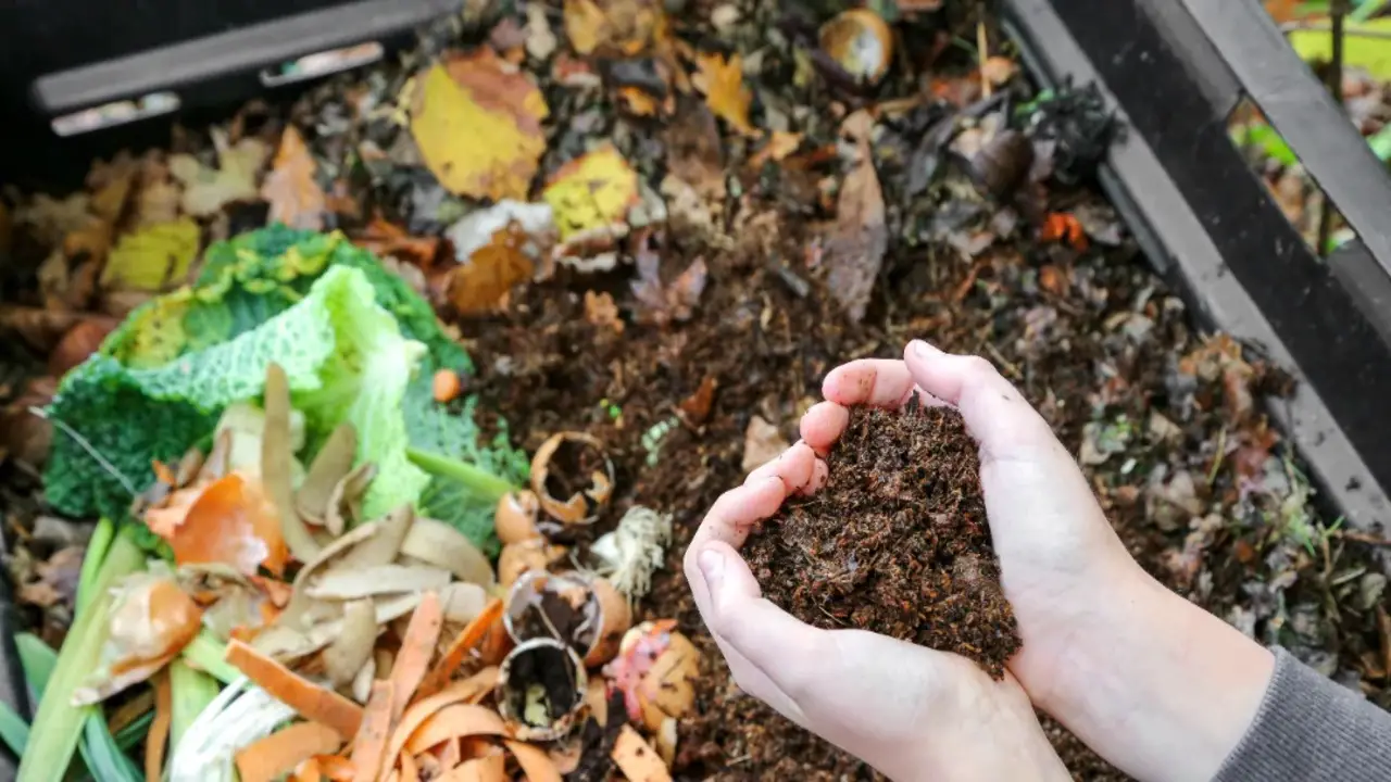  Start Composting At Home