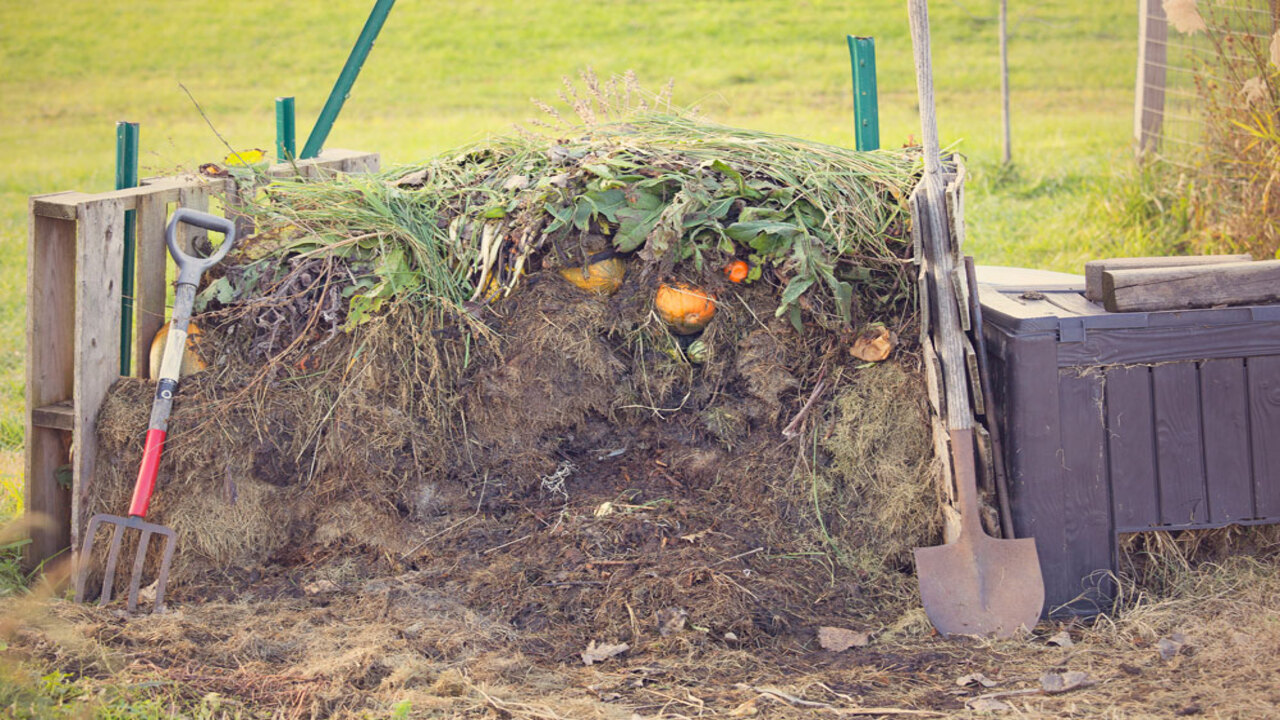 Start Your Compost Pile With A Layer Of Browns