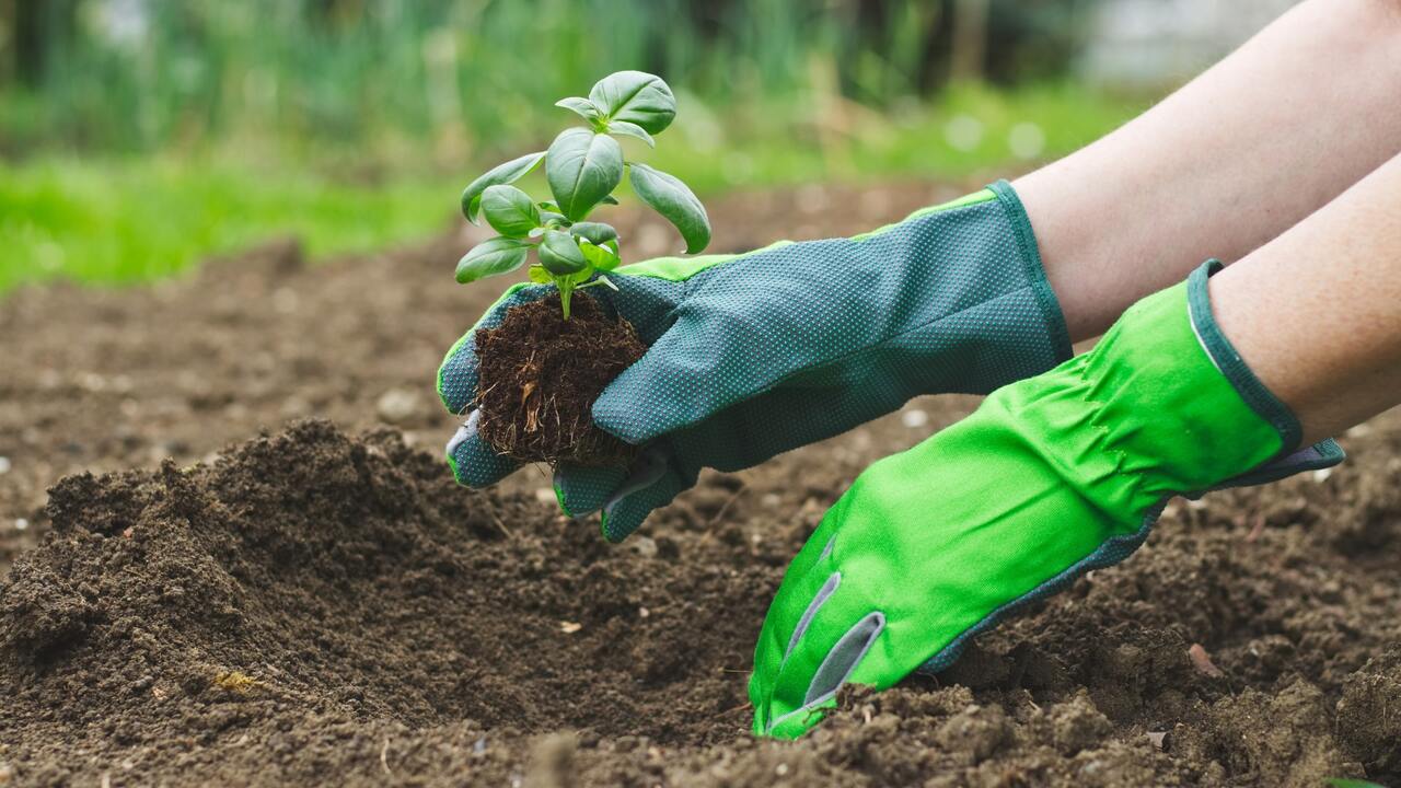 The 10 Compost Benefits