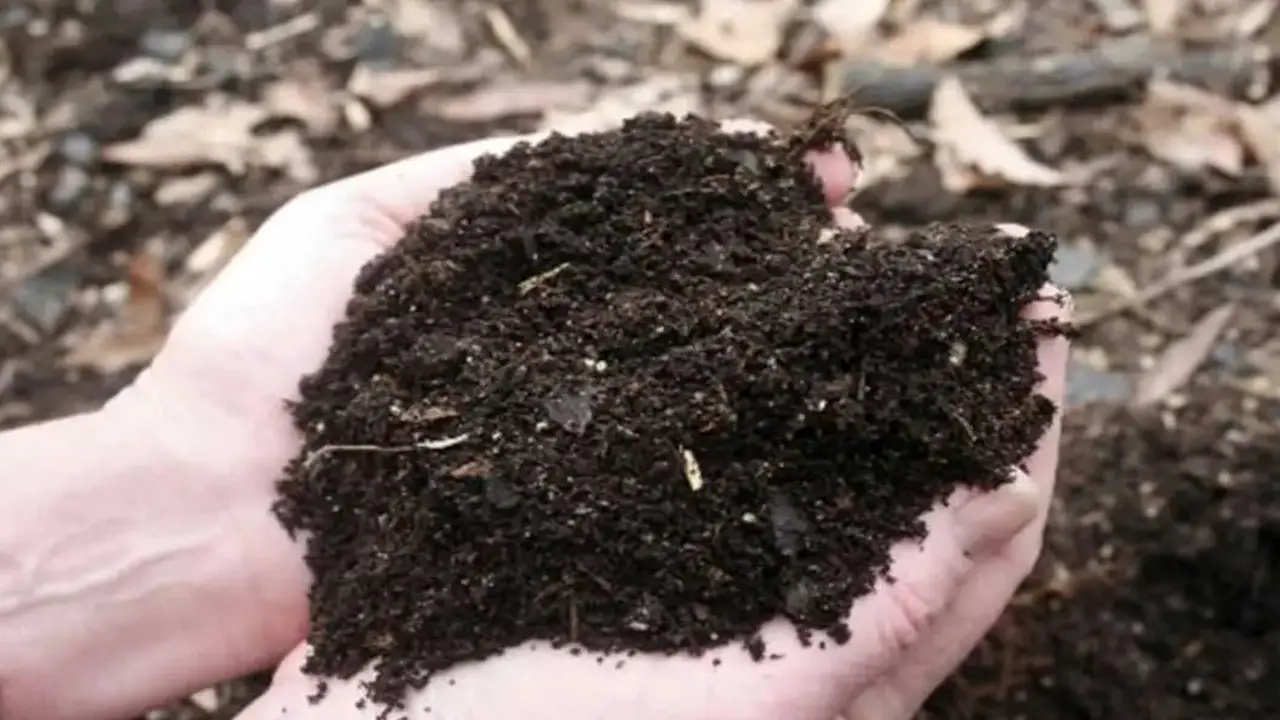 The Benefits Of Aeration-Compost