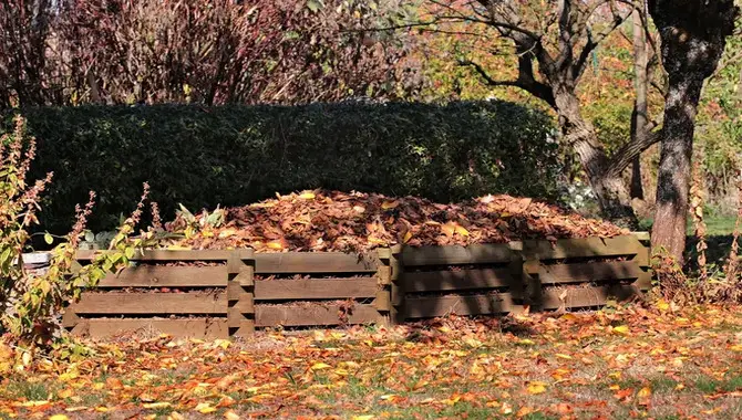 The Benefits Of Composting With Autumn Leaves