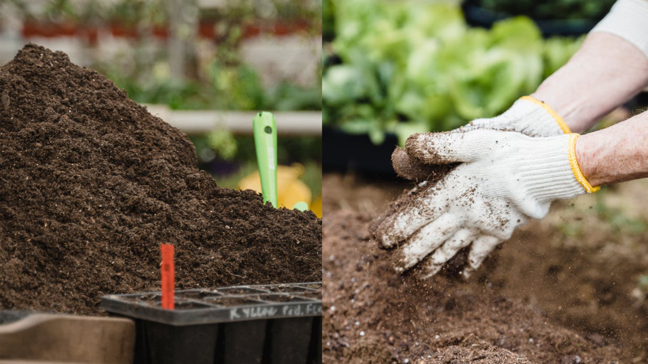 The Best Compost To Buy For Successful Gardening & Where To Buy