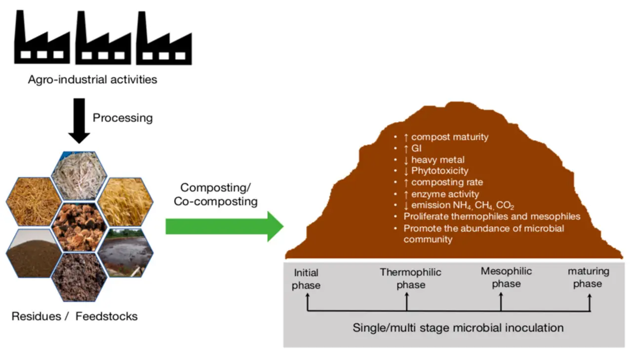 The Composting Process