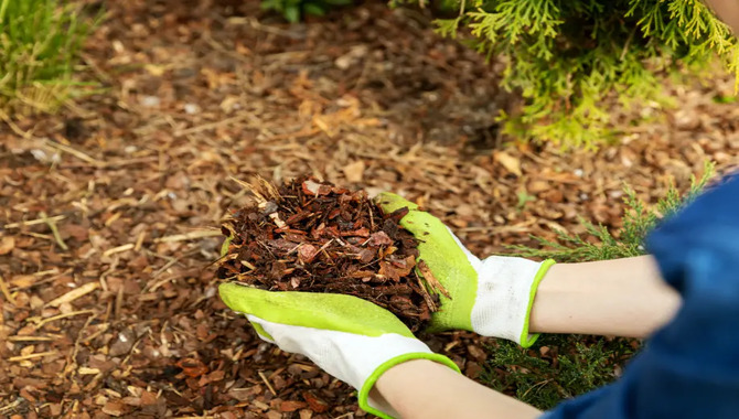 The Disadvantage Of Hot Composting