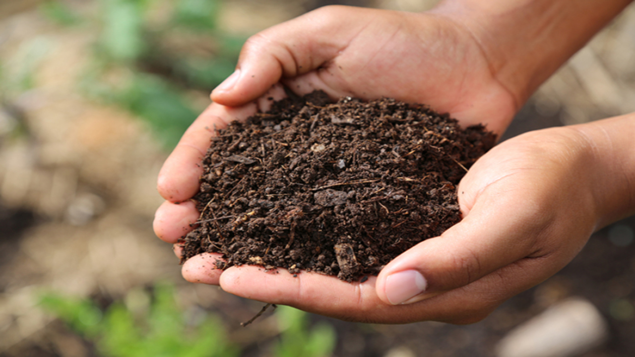 The Environmental Impact Of Composting