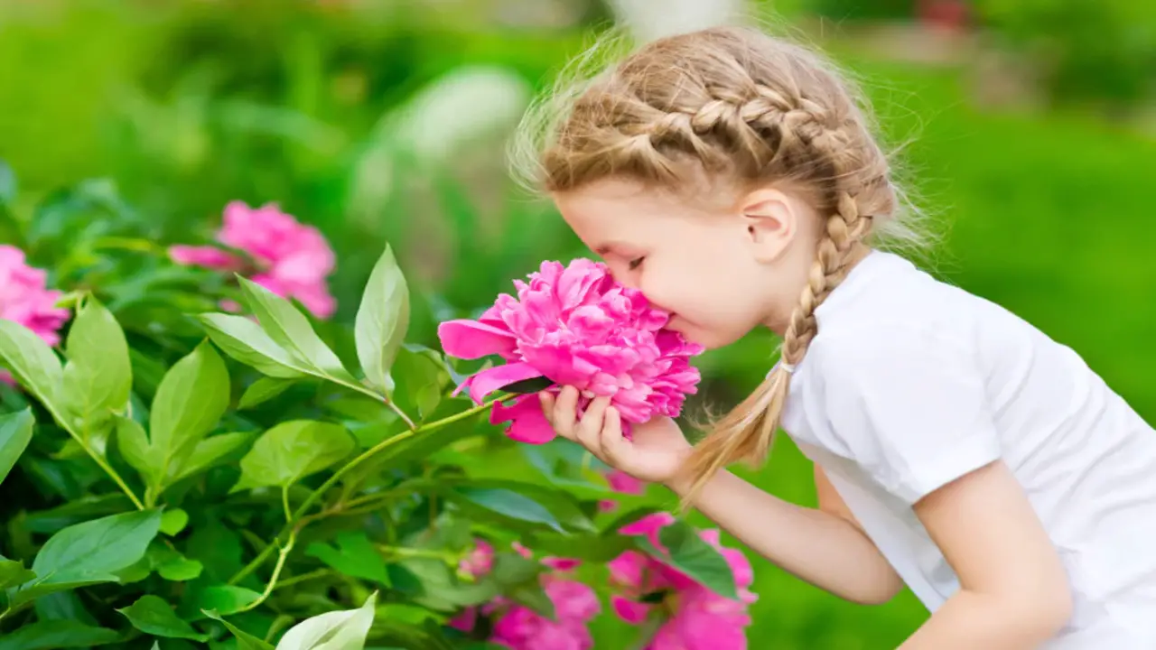 The Fragrance Of The Flowers