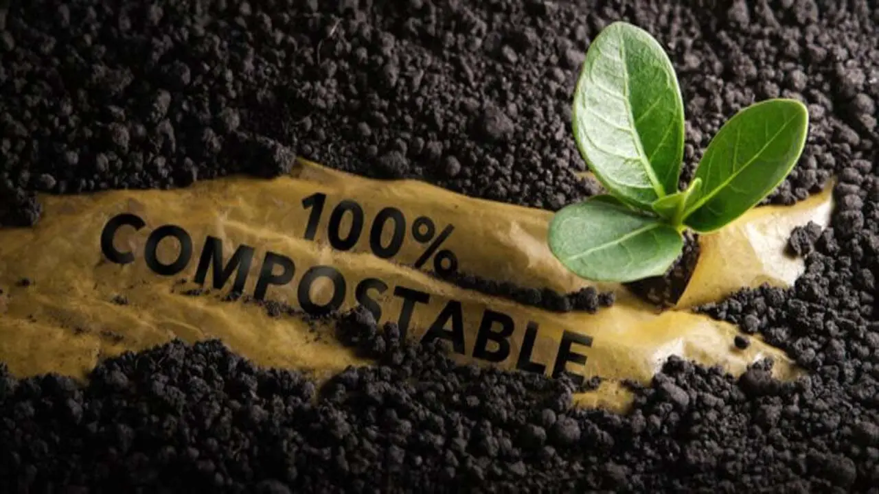 The Future Of Compostable Products And Their Impact On The Environment
