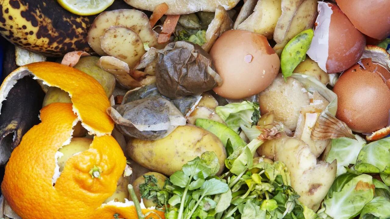 The Impact Of Composting On Personal Food Waste