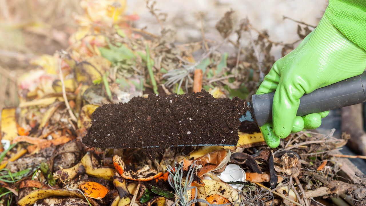 The Process Of Making A Compost Poster In 7 Steps