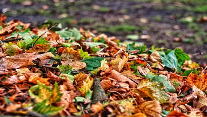 The Science Behind Composting With Autumn Leaves