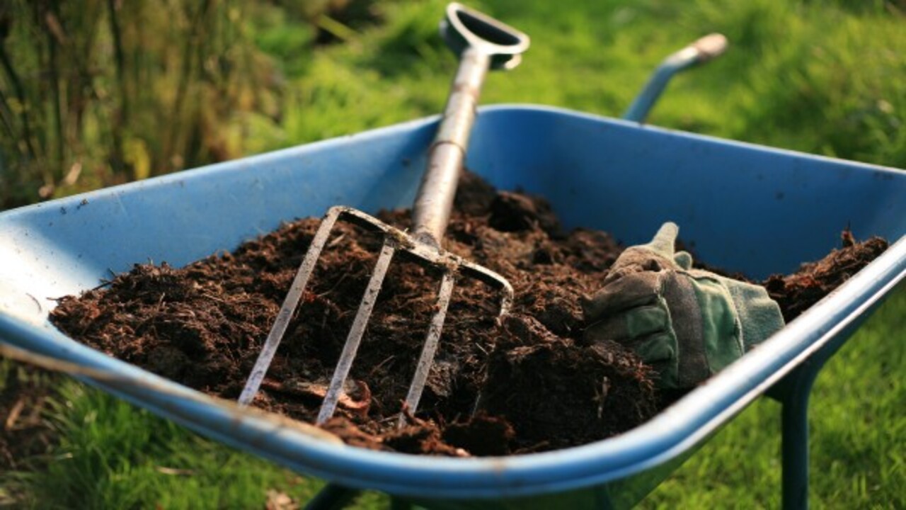 The Solution To Compost Def -Easy Expert Tips For Success