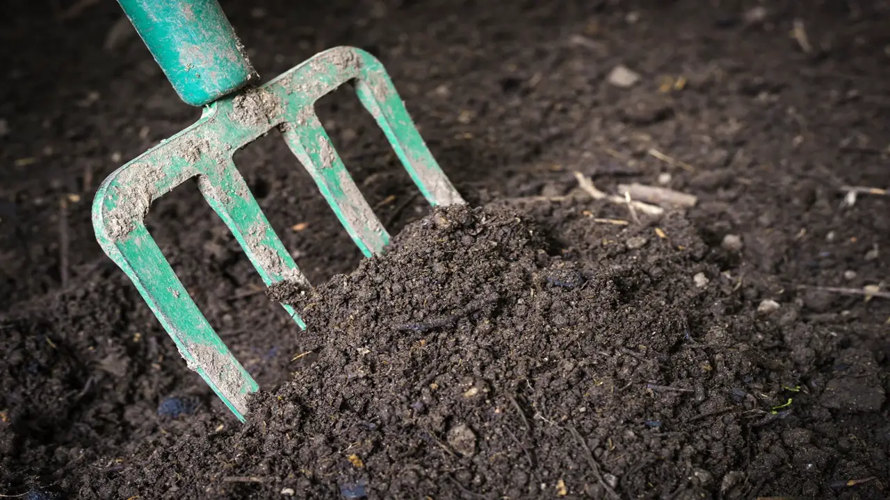 Tips For Maximizing The Benefits Of Compost In Your Garden