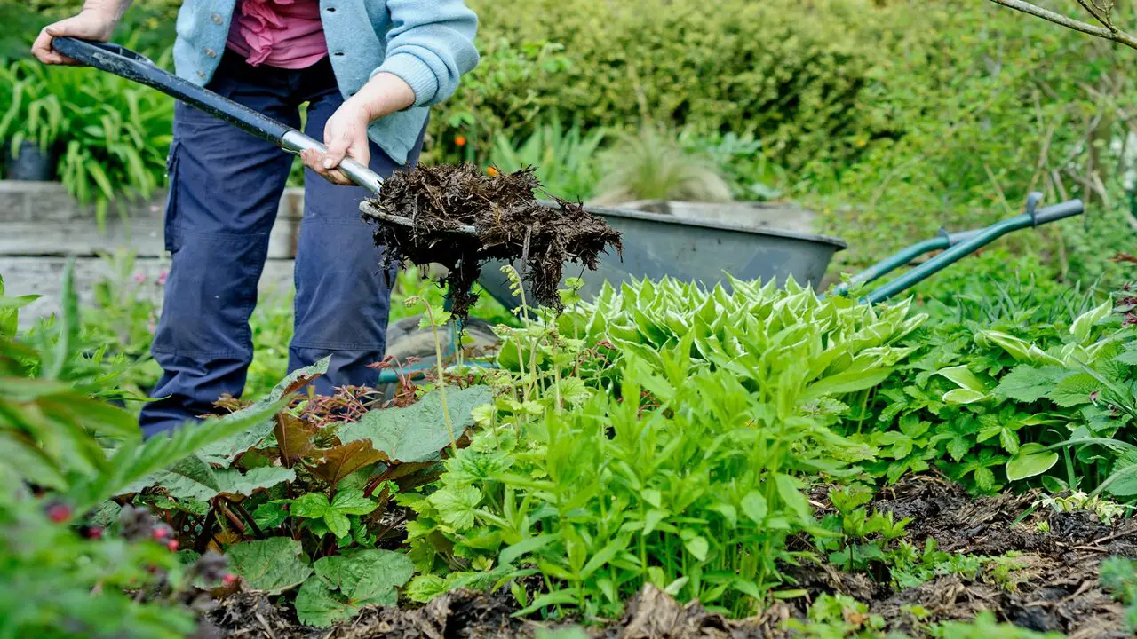 Tips For Successful Organic Gardening With Compost