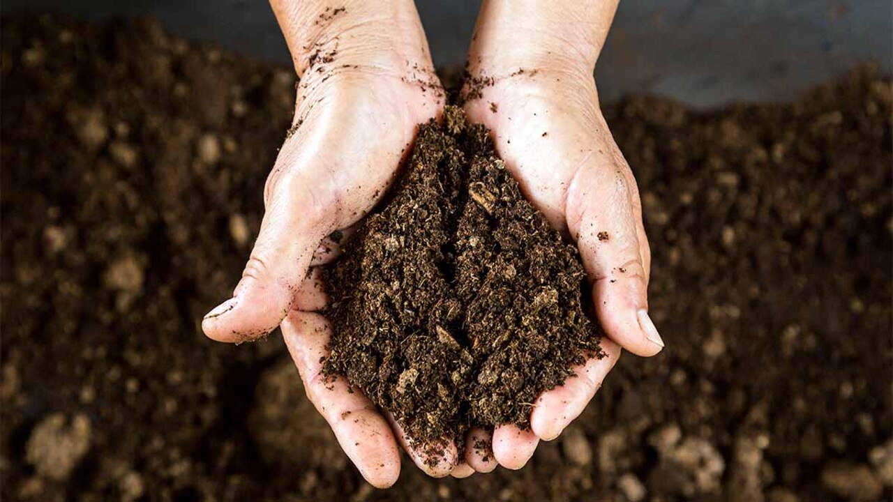 Top Brands Of Compost For Successful Gardening