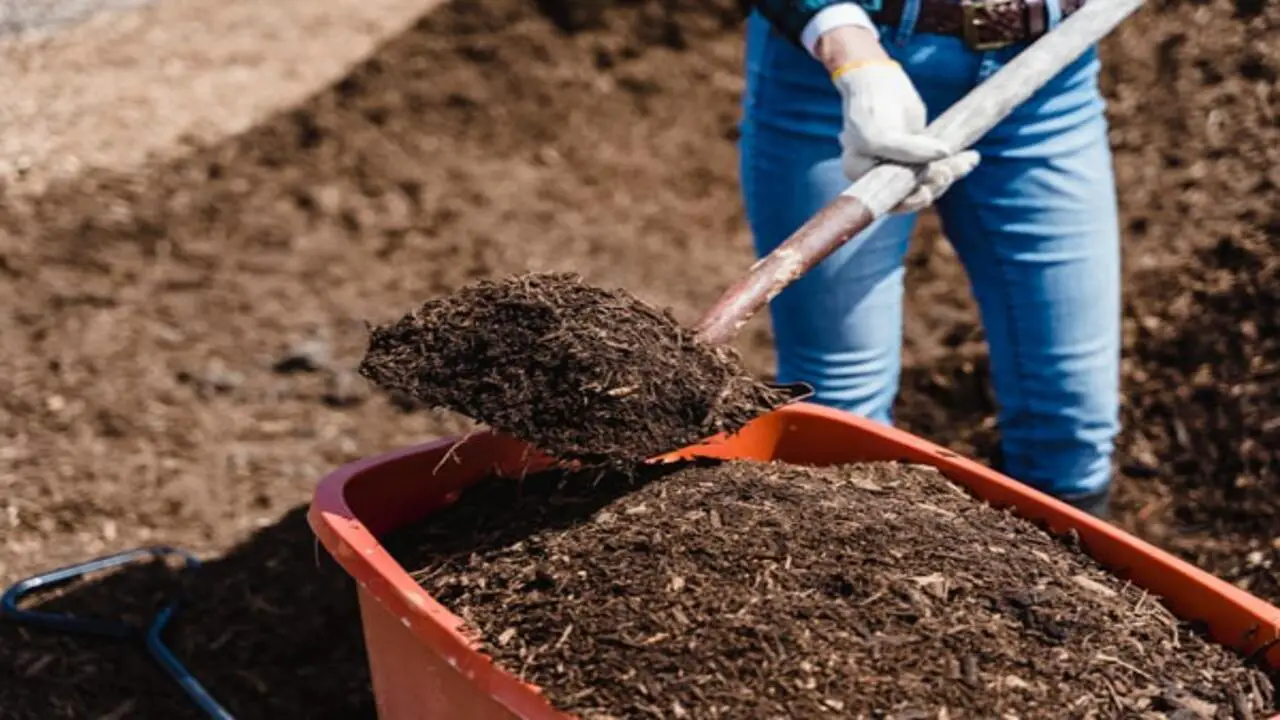 Troubleshooting Common Composting Issues