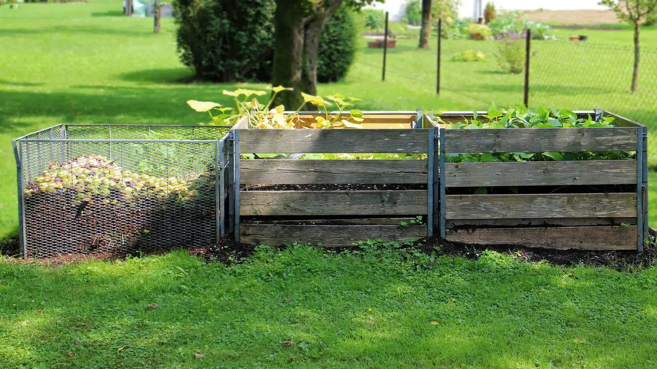 Troubleshooting Common Composting Issues