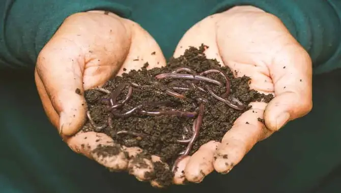 Troubleshooting Common Composting Problems