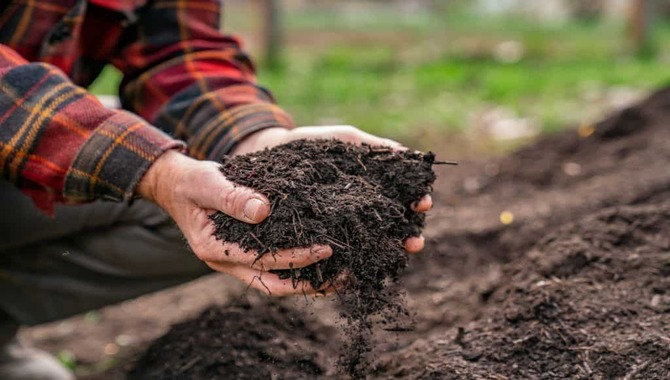 Troubleshooting Common Composting Problems