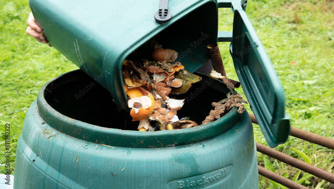 Troubleshooting Common Composting Problems