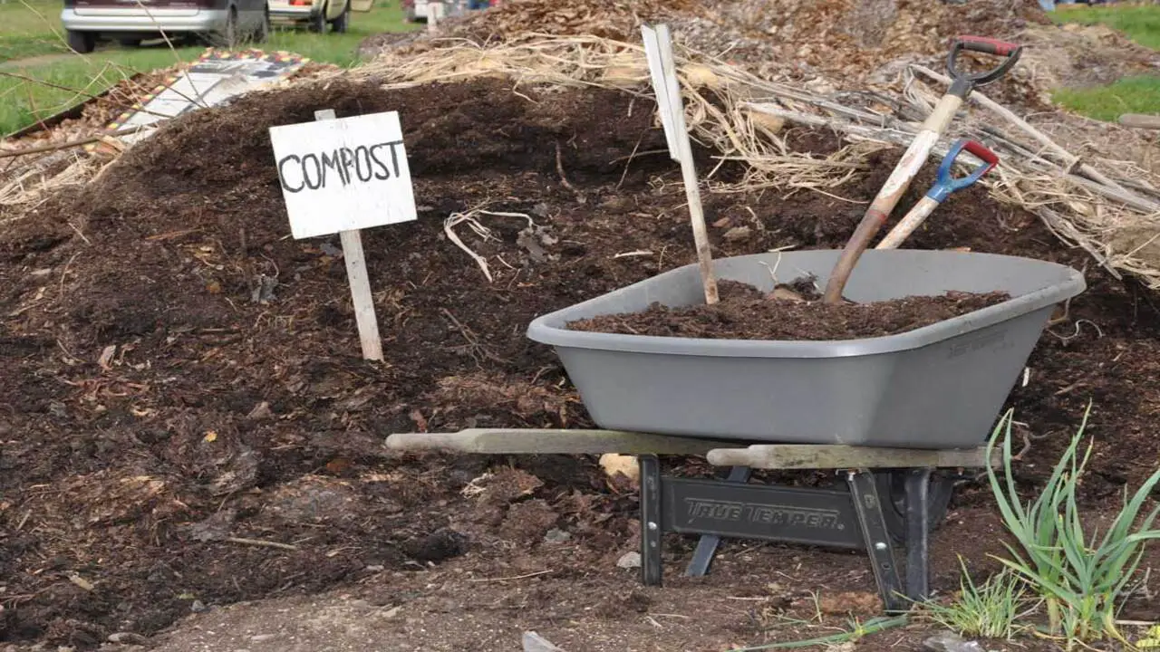 Troubleshooting Common Composting Problems