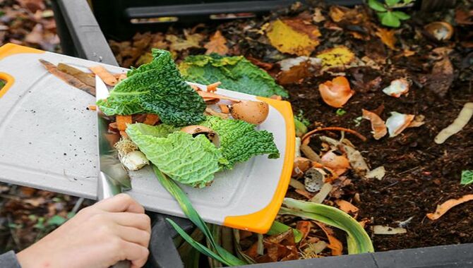 Troubleshooting Common Issues In Apartment Composting