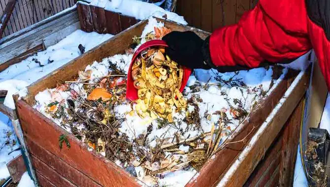 Troubleshooting Common Winter Composting Challenges