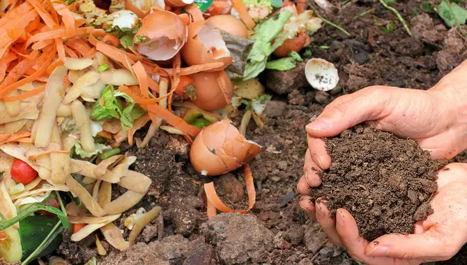 Try The Bokashi Method Of Composting
