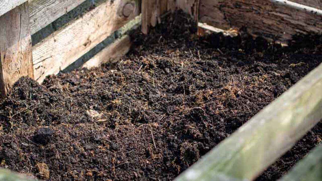 Types Of Compost Available
