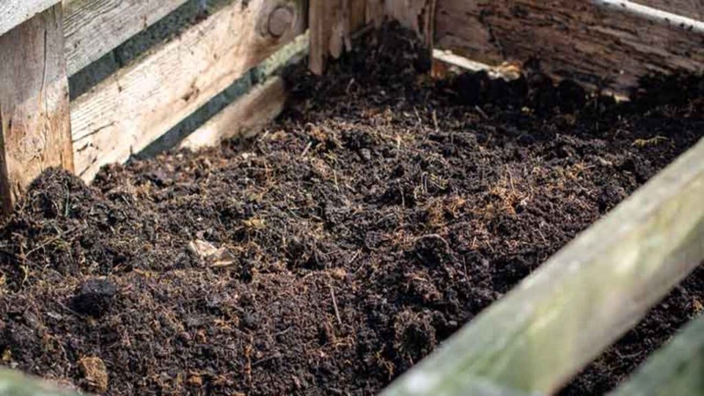 Is Compost Fertilizer The Differences Explained