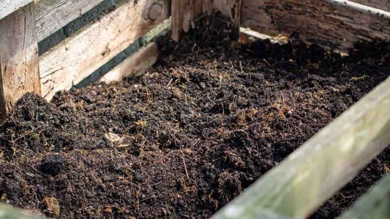 Types Of Compost Fertilizer And Their Uses